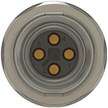 Layout view image