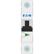 Layout view image